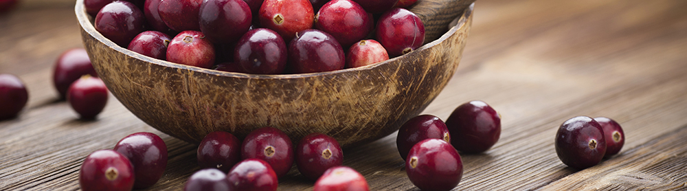 Cranberry Has Long History of Use for Urinary Tract Support