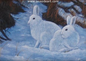 "Arctic Hare" by NW Lalk