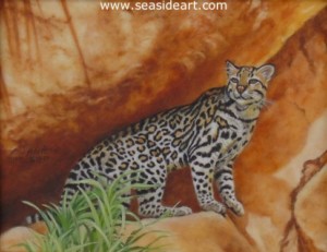 "Ocelot Rocky Perch" by Beverly Abbott